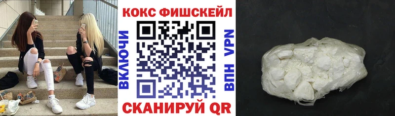 Cocaine Fish Scale  Купить закладки  Камбарка 
