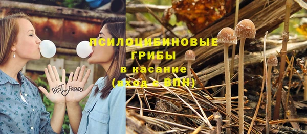 дмт Заволжье