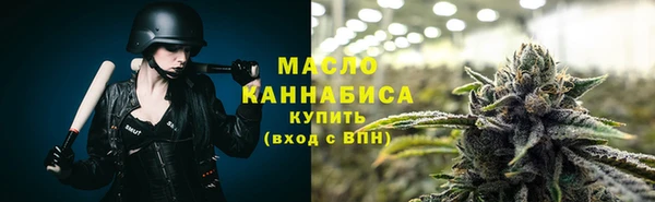 шишки Заволжск