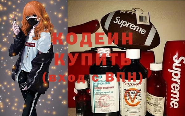мдпв Заводоуковск