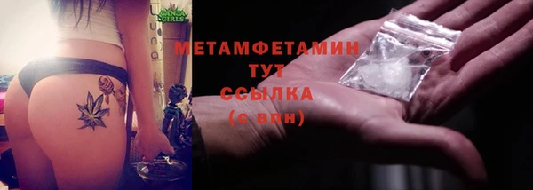 шишки Заволжск
