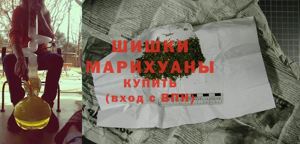 шишки Заволжск