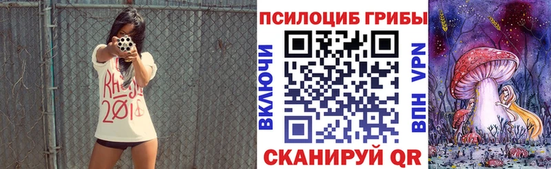 Галлюциногенные грибы мицелий Камбарка